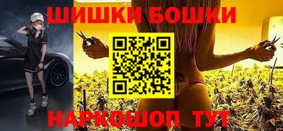 индика Бийск