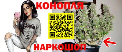 apvp Будённовск